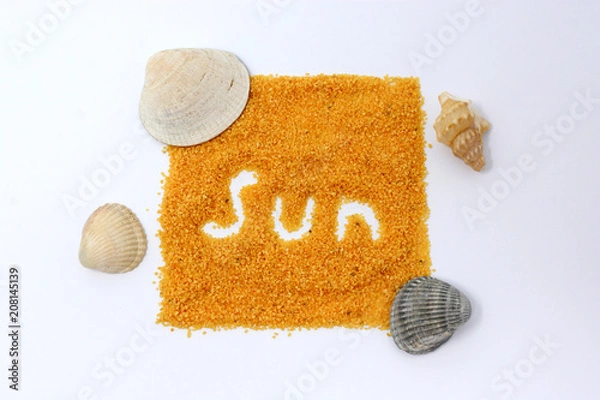 Obraz Shell on white background