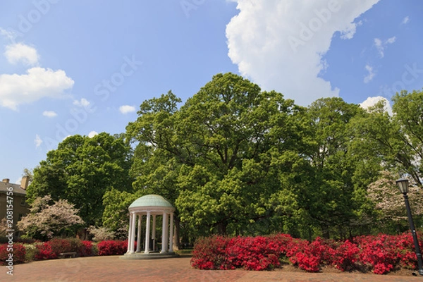 Fototapeta Stara studnia na wzgórzu UNC Chapel wiosną z kwitnącymi azalii