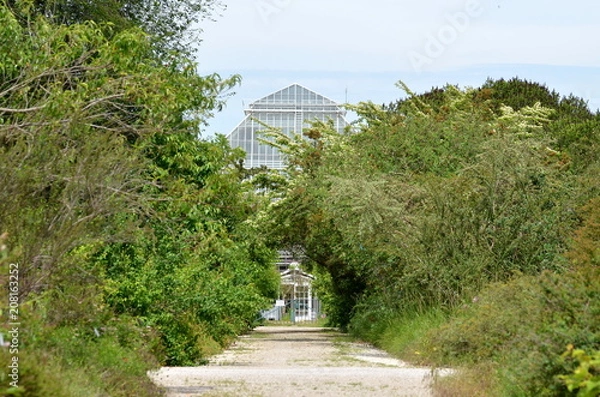 Fototapeta Footpath towards a glass building surrounded by green trees