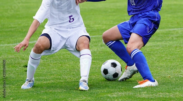 Fototapeta サッカー　フットボール