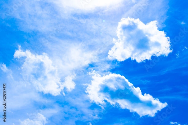 Fototapeta 初夏の青空