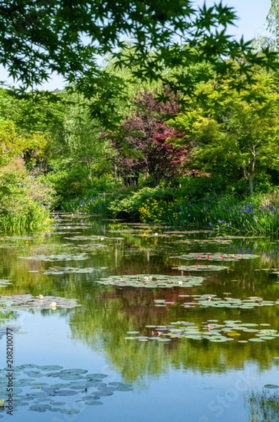 Fototapeta 高知県北川村「モネの庭」