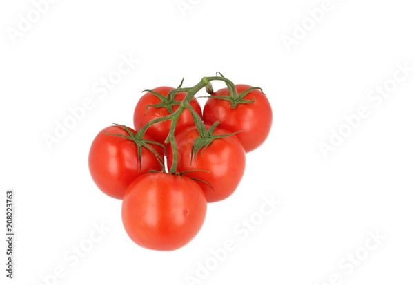 Obraz Tomato Bunch 2