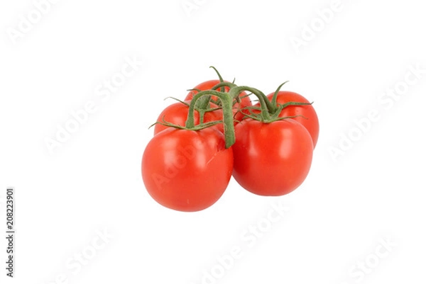 Obraz Tomato Bunch