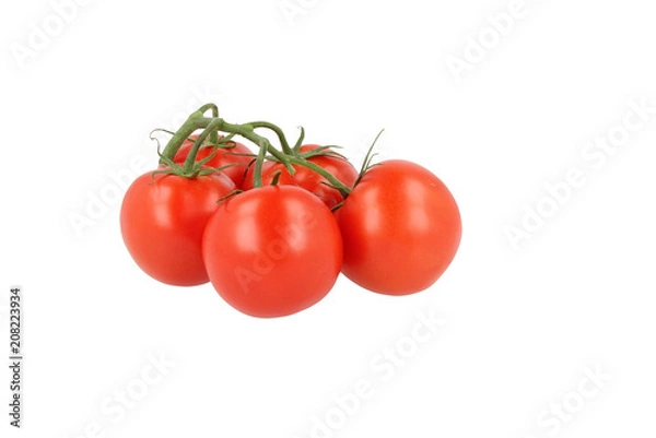 Obraz Tomato Bunch