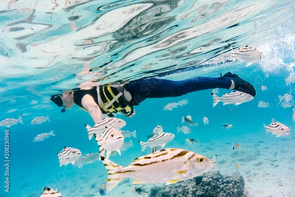 Fototapeta 石垣島の海