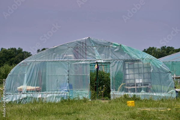 Obraz Hothouse covered with plastic