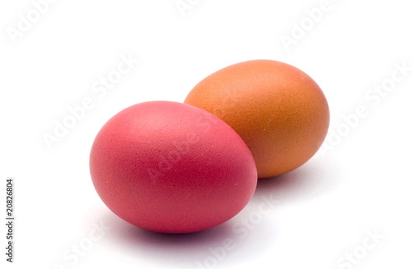 Obraz easter eggs isolated on white