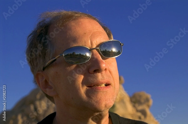 Obraz desert-sunglasses