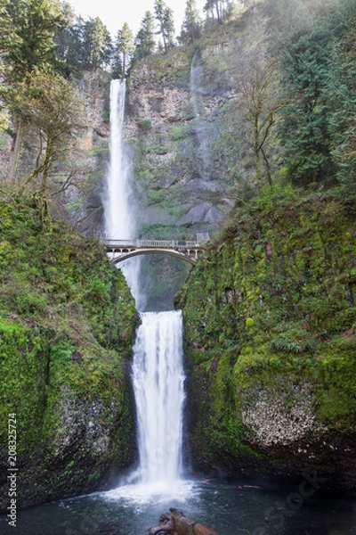 Fototapeta Multnomah Falls in Spring