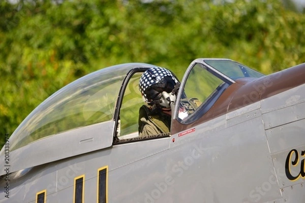 Obraz Mustang Pilot