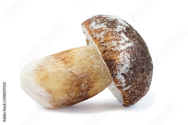 Fototapeta White mushroom (the mushroom king) isolated on a white background. close up. frozen
