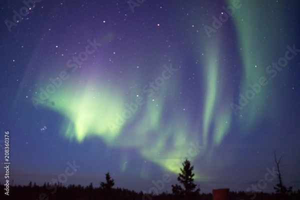 Obraz カナダ　イエローナイフ　オーロラ