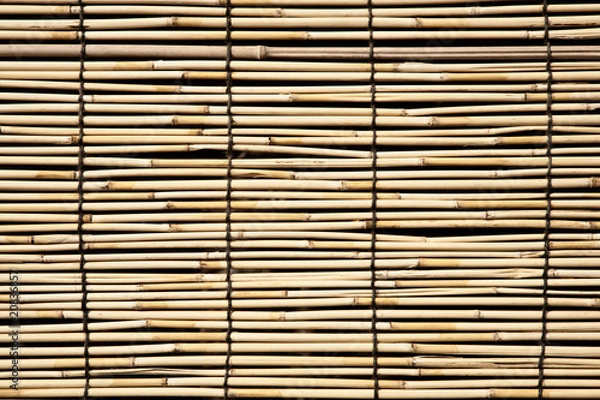 Obraz Bamboo texture background