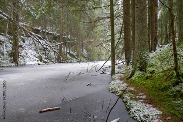 Obraz See im Wald im Winter