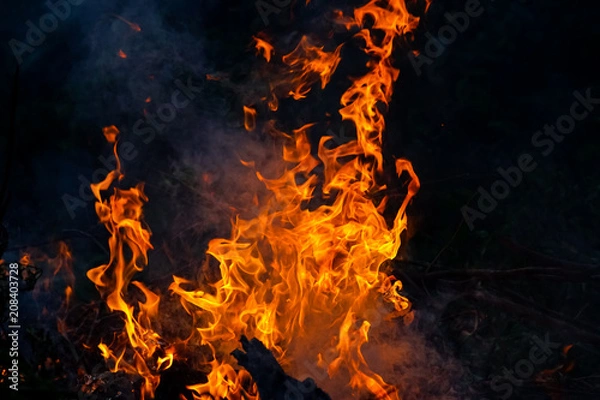 Fototapeta abstract fire flame dance on black background