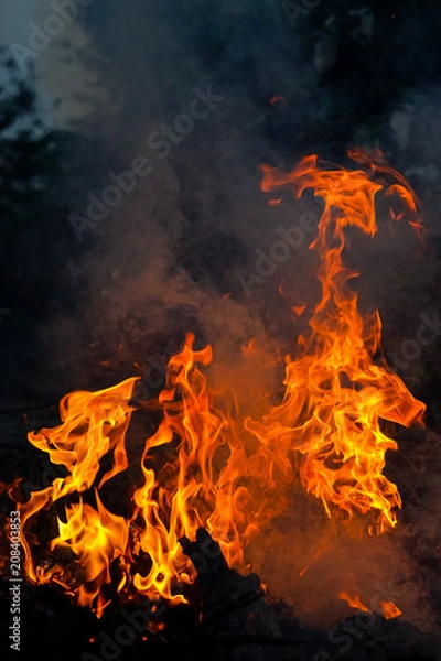 Fototapeta abstract fire flame dance on black background