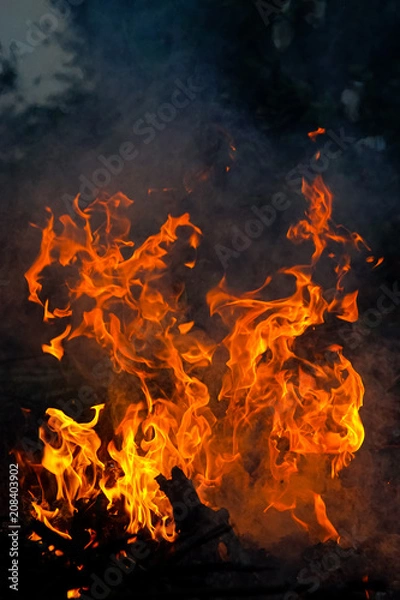 Fototapeta abstract fire flame dance on black background