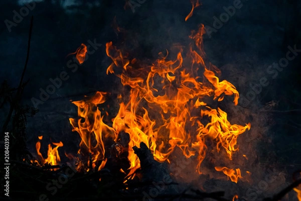 Obraz abstract fire flame dance on black background