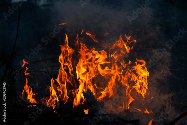 Fototapeta abstract fire flame dance on black background