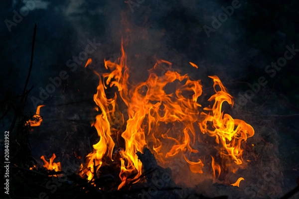 Fototapeta abstract fire flame dance on black background