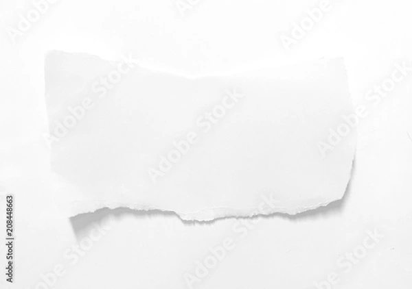 Fototapeta pieces of torn paper texture background, copy space.