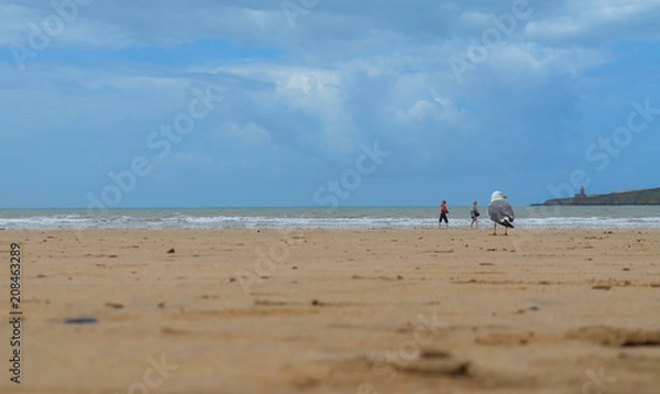 Obraz beach and sky view