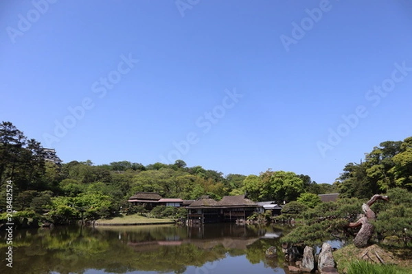 Fototapeta 日本　彦根城　玄宮園