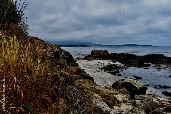 Obraz Deep Color in Carmel