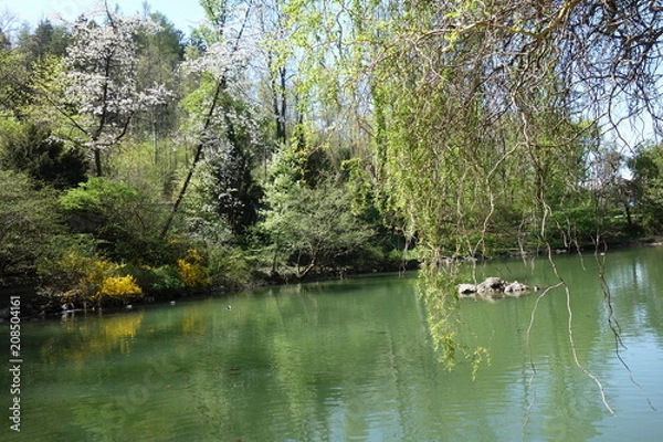 Obraz Idyllischer Teich
