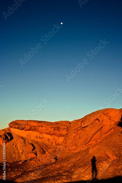 Obraz Self Expression