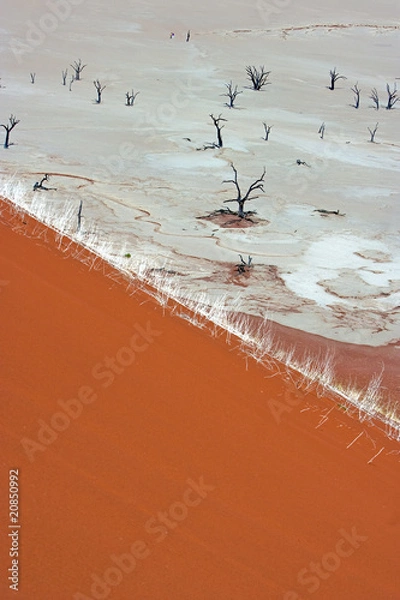 Obraz Dead Vlei