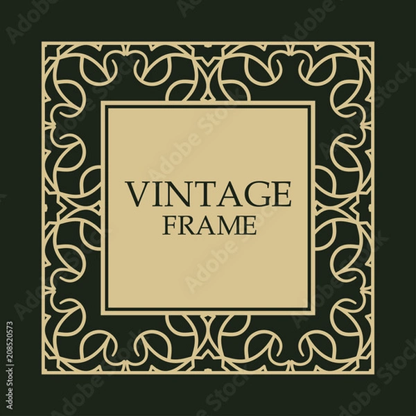 Obraz Vintage decorative frame