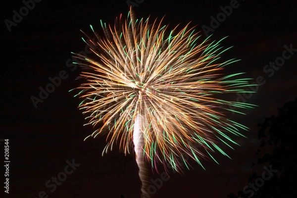 Fototapeta firework display