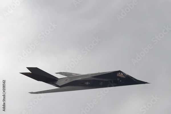 Obraz f-117 nighthawk (aka stealth fighter)