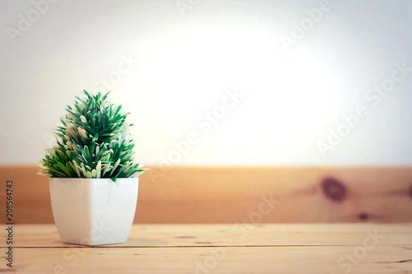 Fototapeta Mini tree on the wooden table