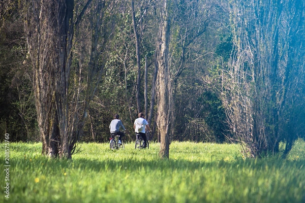Obraz two friends cycling at the park. Outdoor Healthy Lifestyle (at the bottom of the image there is a defocused zone ideal for inserting text)