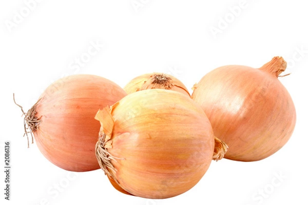 Obraz onions - pure white background