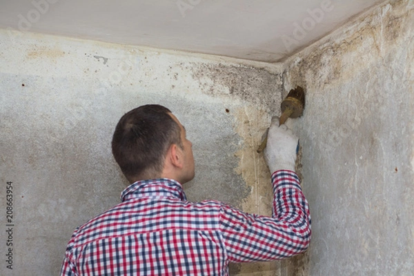 Obraz young man removing of mold and fungus from room wall with brush and antiseptic