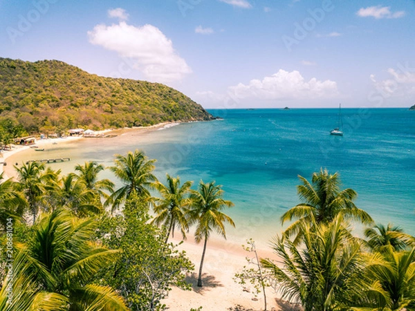 Fototapeta Aerial view of Mayreau beach in St-Vincent and the Grenadines - Tobago Cays. The paradise beach with palm trees and white sand beach