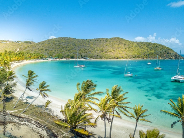 Fototapeta Aerial view of Mayreau beach in St-Vincent and the Grenadines - Tobago Cays. The paradise beach with palm trees and white sand beach