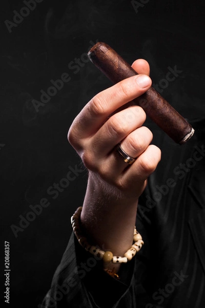 Obraz Hand holding cigar