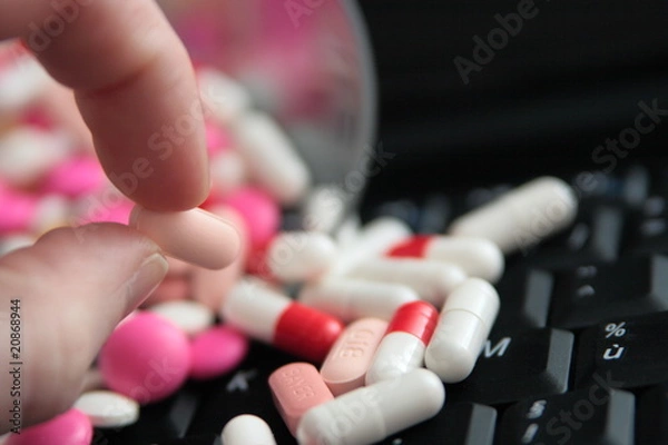 Fototapeta médocs sur le web