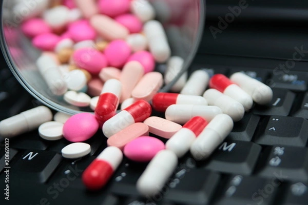 Obraz médocs sur le web