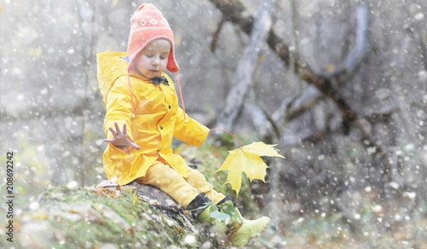 Fototapeta Toddlers on a walk in the autumn park. First frost and the first