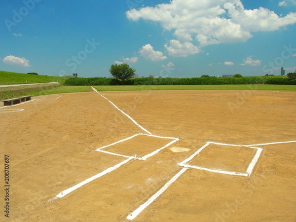 Fototapeta 初夏のグラウンドのある江戸川河川敷風景