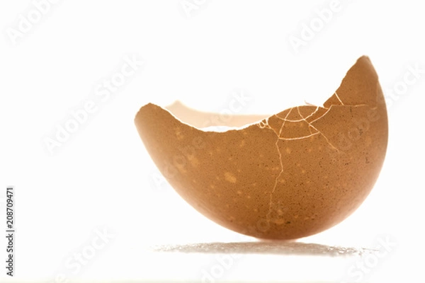 Obraz Broken egg shell with on white background, isolated, with bursts and cracks