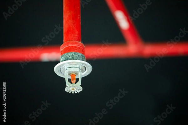 Obraz Fire sprinkler and red pipe.