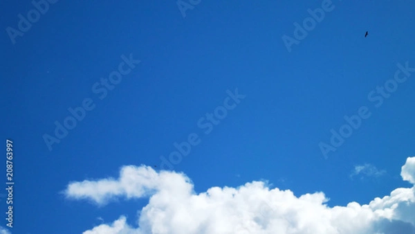 Fototapeta White clouds on a blue sky background.Natural background.