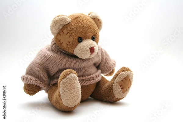 Obraz Mój pluszowy niedźwiedź